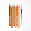 Lyra Graduate Aquarelle Coloured Pencils 12 | Conscious Craft